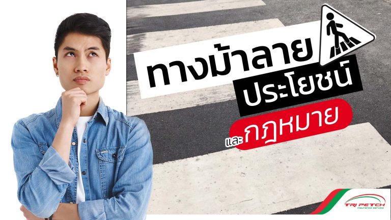 ทางม้าลาย ประโยชน์ และกฎหมายที่คนใช้ถนนควรรู้