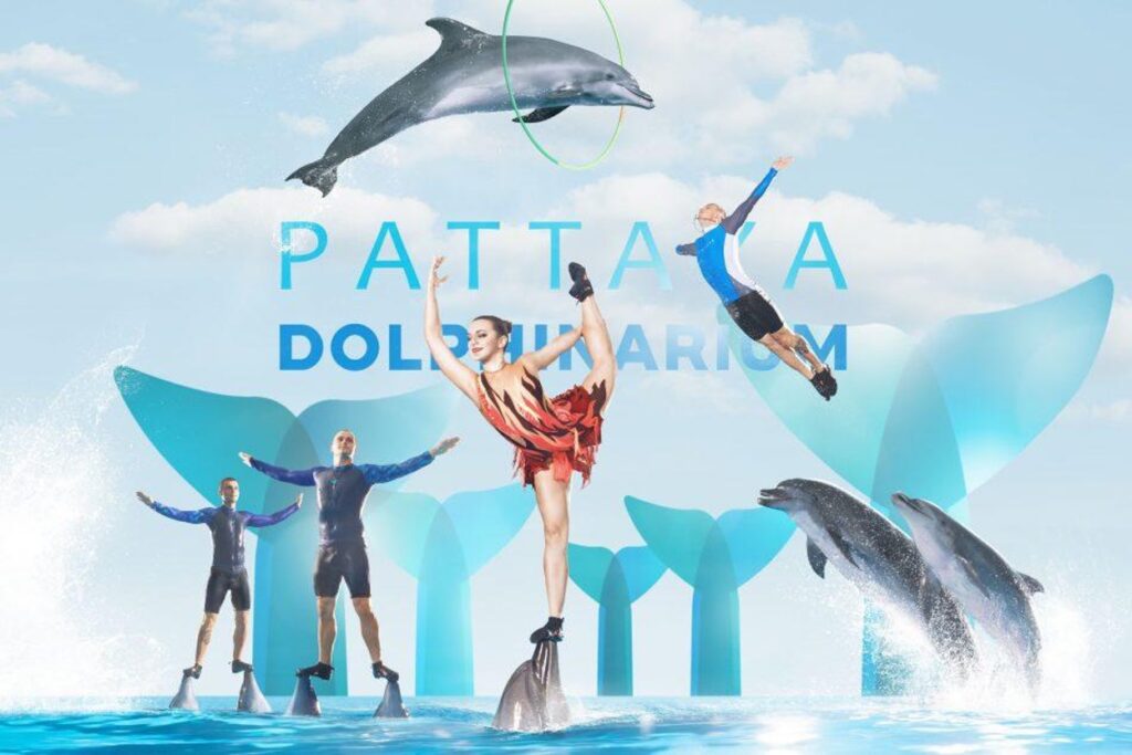 Pattaya Dolphinarium