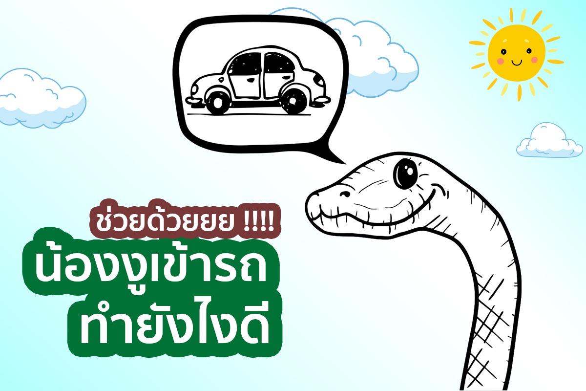 คนมีรถควรรู้ งูเข้ารถทำยังไงดีแนะนำวิธีป้องกันงูเข้ารถ