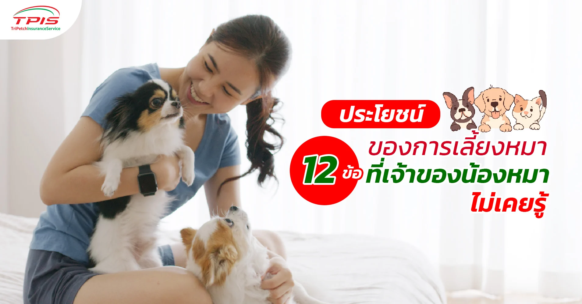 ประโยชน์ของการเลี้ยงหมา 12 ข้อที่เจ้าของน้องหมาไม่เคยรู้-1