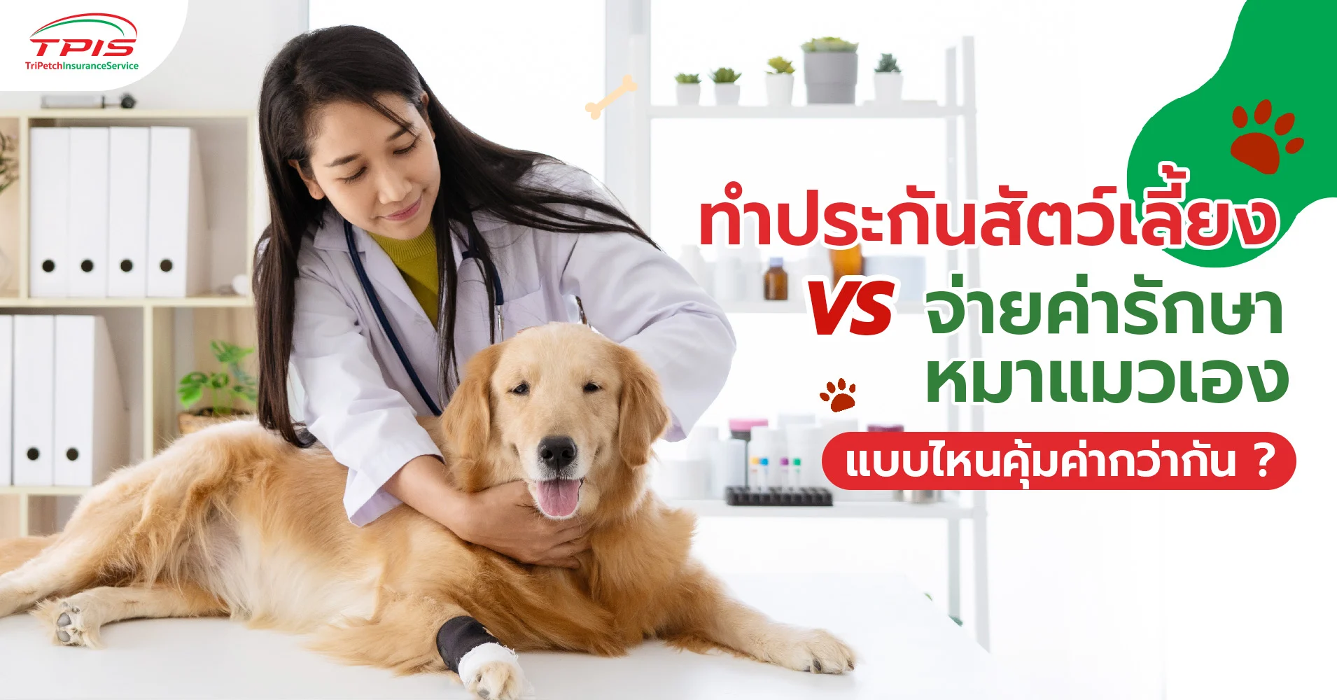 ซื้อประกันสัตว์เลี้ยง VS จ่ายค่ารักษาเอง แบบไหนคุ้มกว่ากัน ?