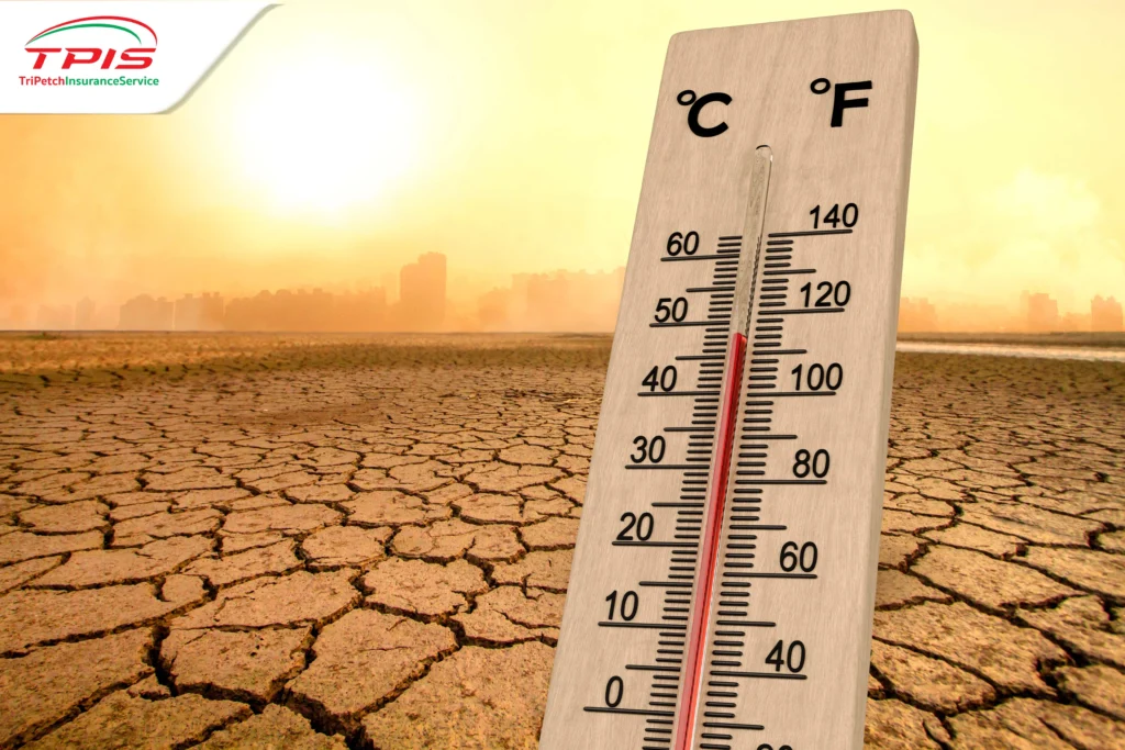 สิ้นสุดภาวะ โลกร้อน สู่ยุค โลกเดือด เเละวิธีปรับตัว-3