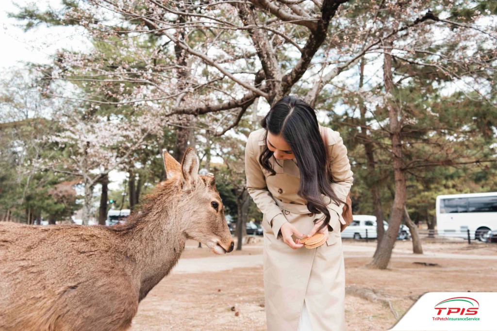 เที่ยวญี่ปุ่นเมืองไหนดี ไปเที่ยวครั้งแรก แนะนำ 10 เมืองรอง 2026-9