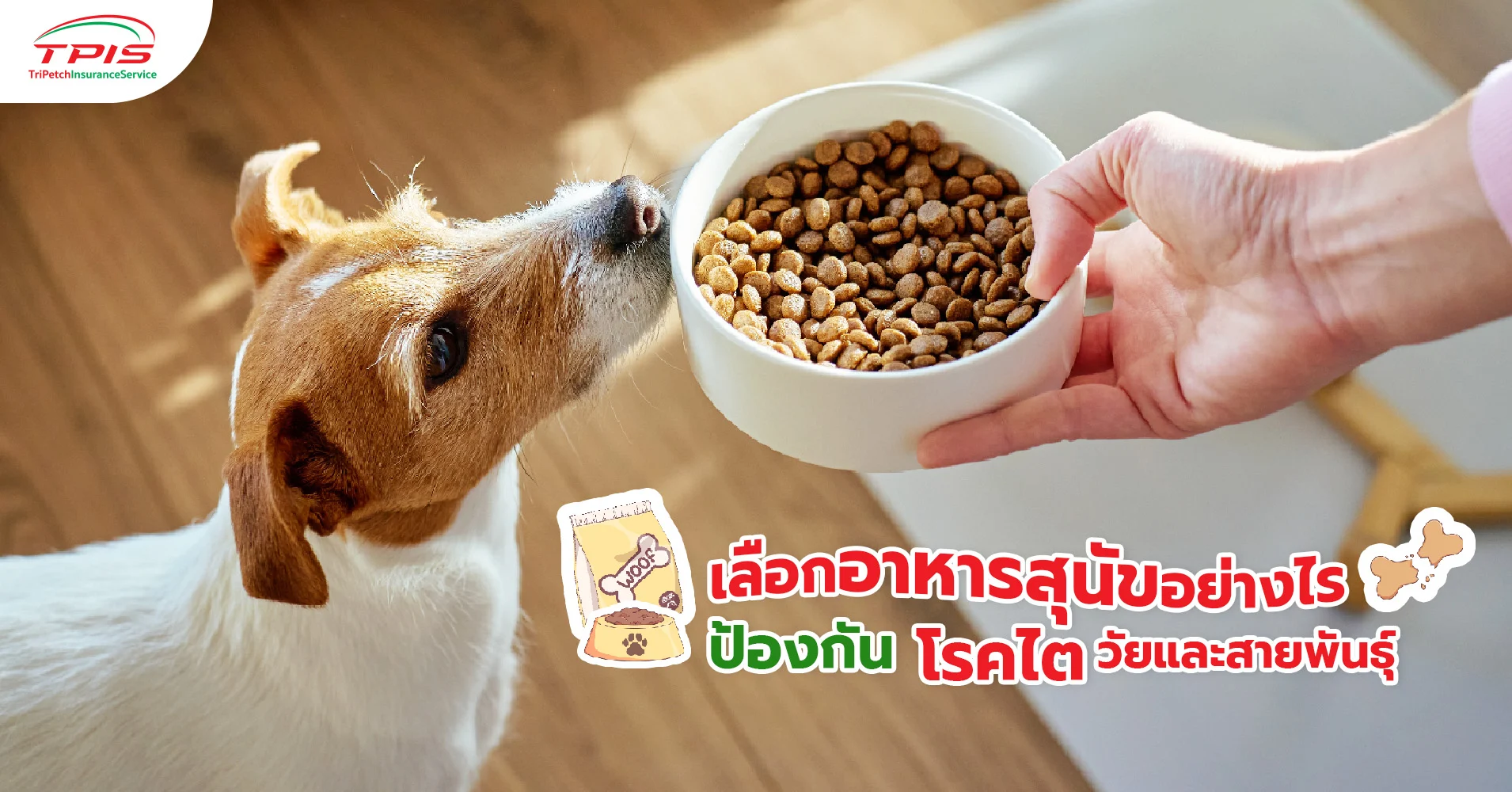 วิธีเลือกอาหารสุนัข ป้องกันโรคไต เหมาะกับวัยและสายพันธุ์