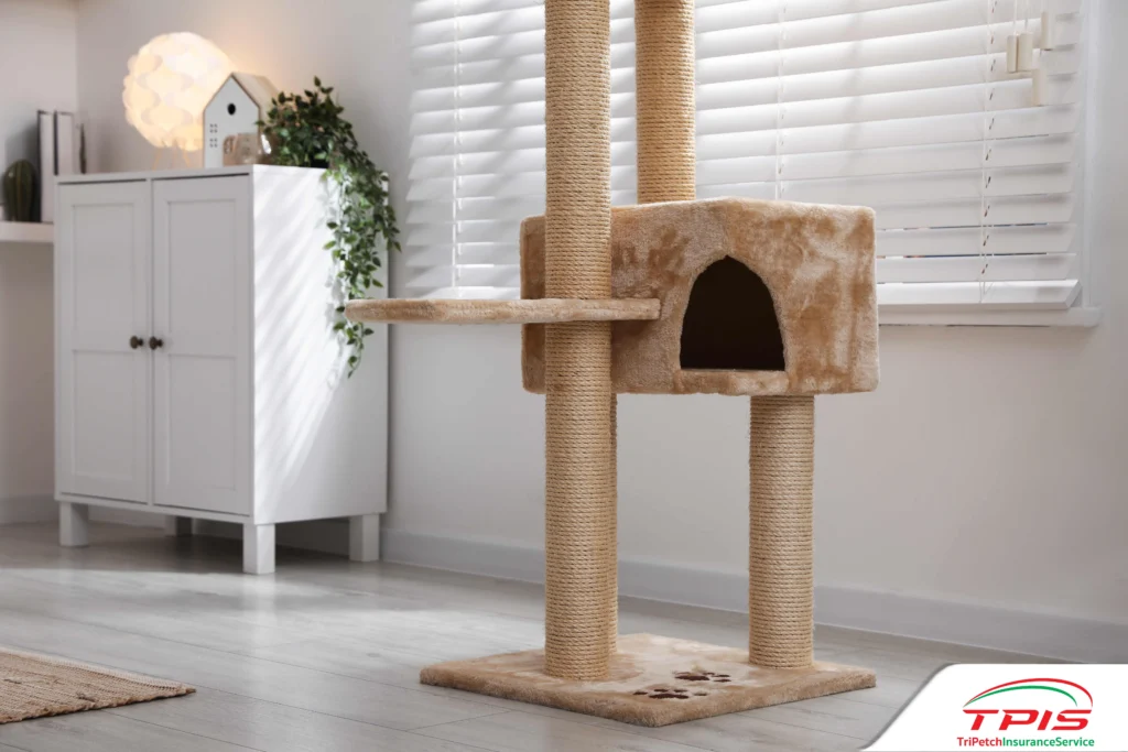 เลี้ยงแมวระบบปิดอย่างไร ไม่ให้น้องเครียดและสุขภาพดี-2