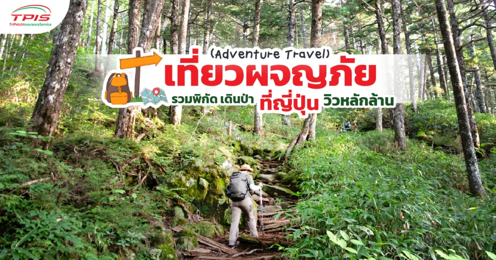 เที่ยวผจญภัย (Adventure Travel) รวมพิกัด เดินป่า ที่ญี่ปุ่น วิวหลักล้าน-1