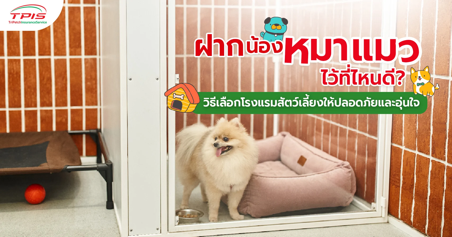 วิธีเลือกโรงแรมหมาแมว ฝากสัตว์เลี้ยงให้ปลอดภัยอย่างไร