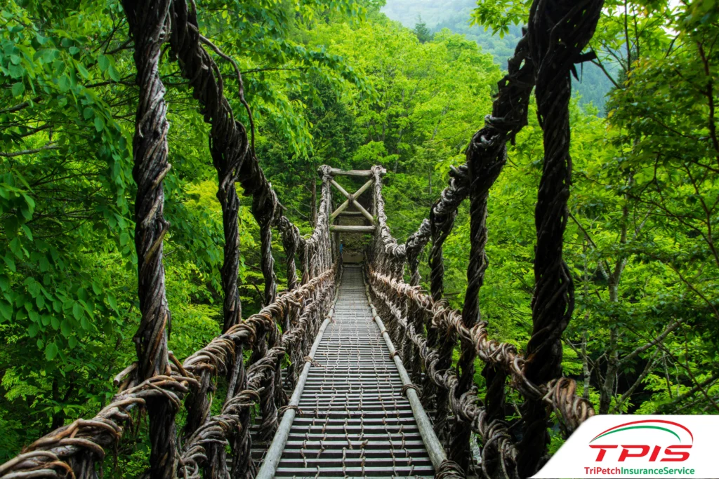 เที่ยวชิโกกุ (Shikoku) ภูมิภาคที่คนไทยไปน้อยที่สุด วิวธรรมชาติอลังการสุด-8