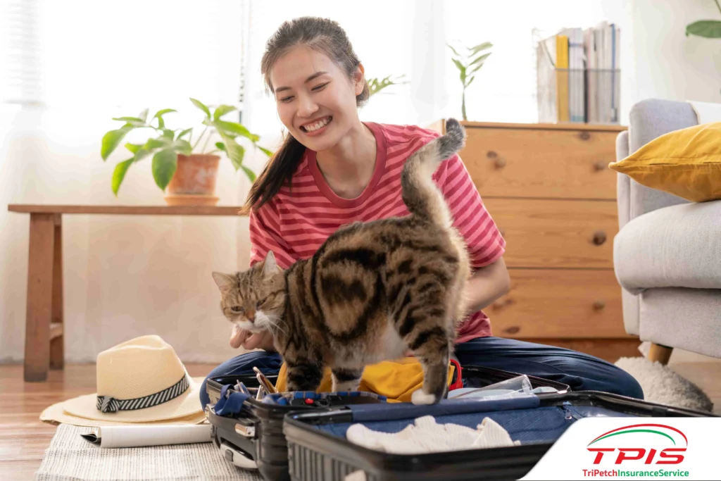 ฝากน้องหมาแมวไว้ที่ไหนดี? วิธีเลือกโรงแรมสัตว์เลี้ยงให้ปลอดภัยและอุ่นใจ-3