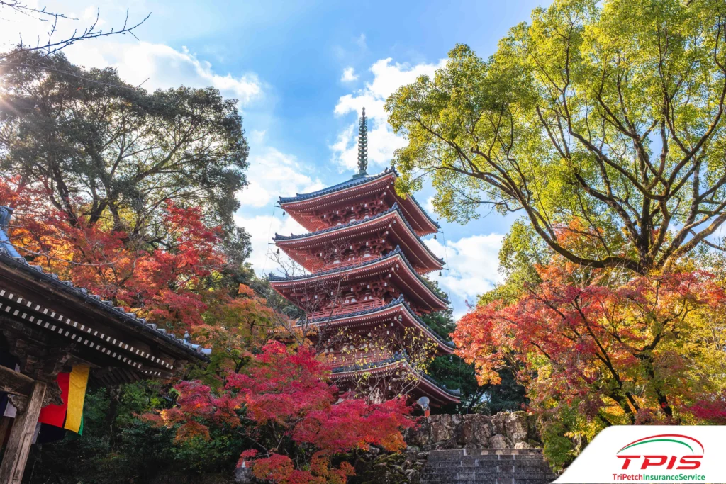 เที่ยวชิโกกุ (Shikoku) ภูมิภาคที่คนไทยไปน้อยที่สุด วิวธรรมชาติอลังการสุด-6