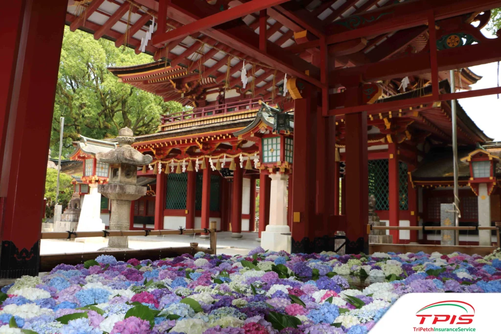 เที่ยวญี่ปุ่นสายมู! 30 จุดรับพลังศักดิ์สิทธิ์ ขอพรแล้วปังตลอดปี-8