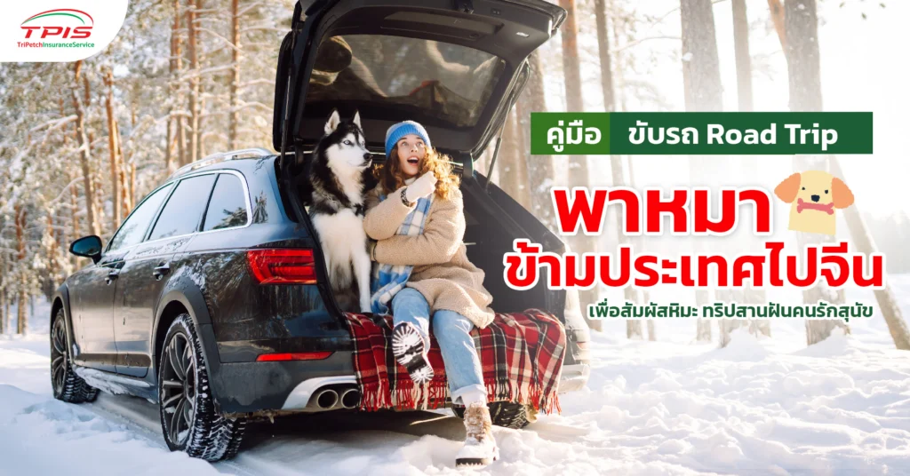 คู่มือ ขับรถRoad Trip พาหมาข้ามประเทศ ไปจีน เพื่อสัมผัสหิมะ ทริปสานฝันคนรักสุนัข-1